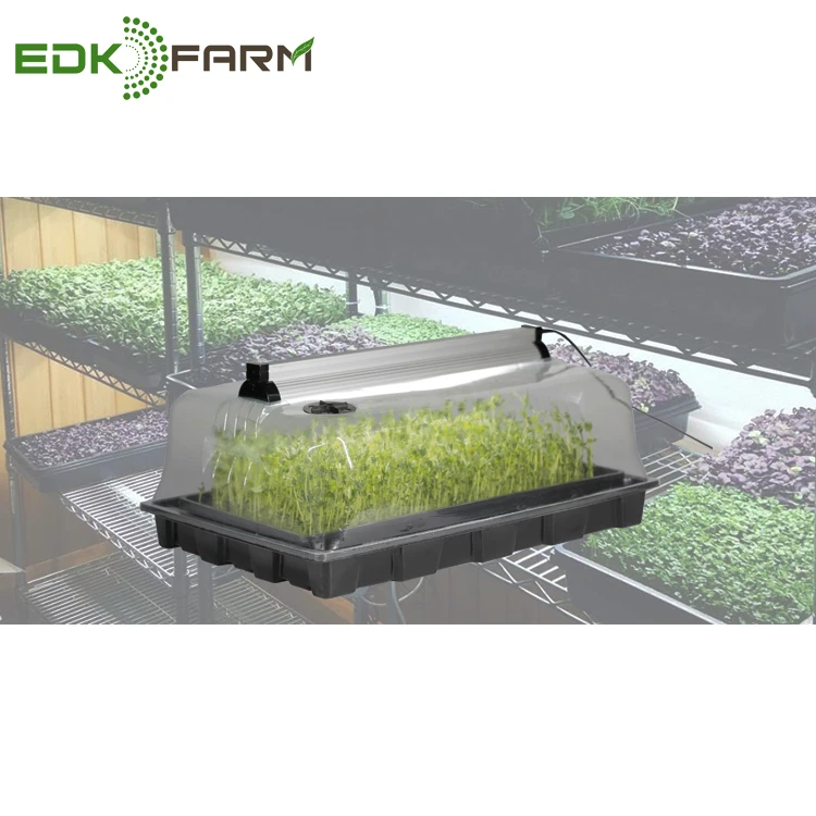 

hydroponic equipment vertical farming microgreen mini indoor greenhouse grow tray seeding, Clear+black