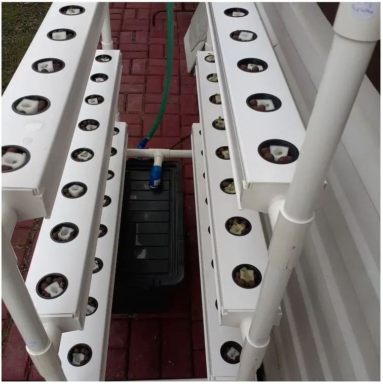 hydroponics growing system