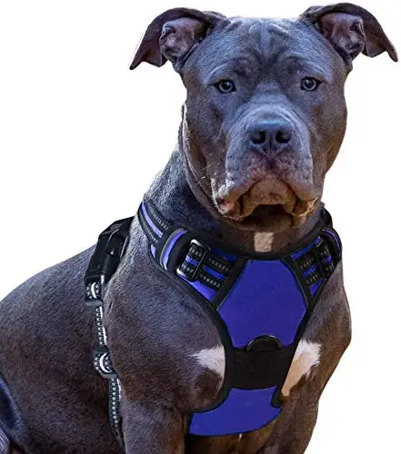 

Manufacturers Designer Reflective Breathable Mesh No Pull Sturdy Dog Harness Large With Handle