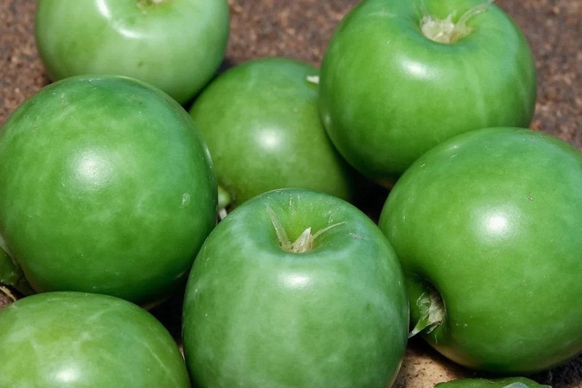 how long do jade plants live