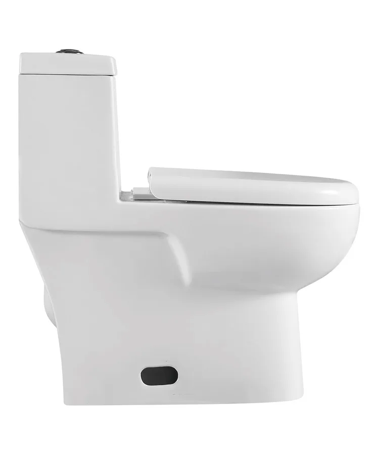Hot seller hotel villa apartment floor mounted  one piece siphonic toilet