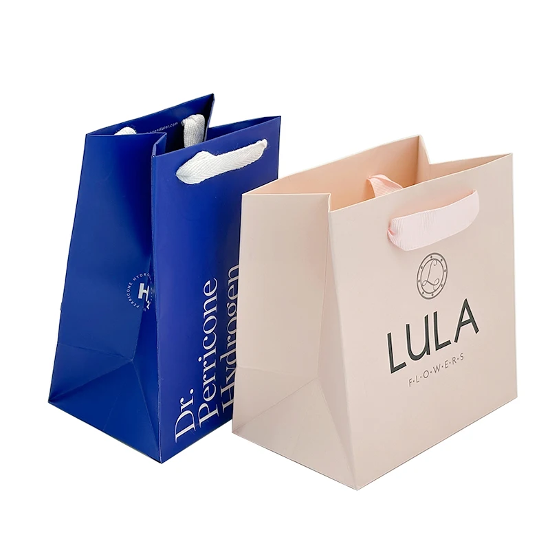 

Low MOQ Custom Color Logo Kraft Colored Shopping Paper Bags