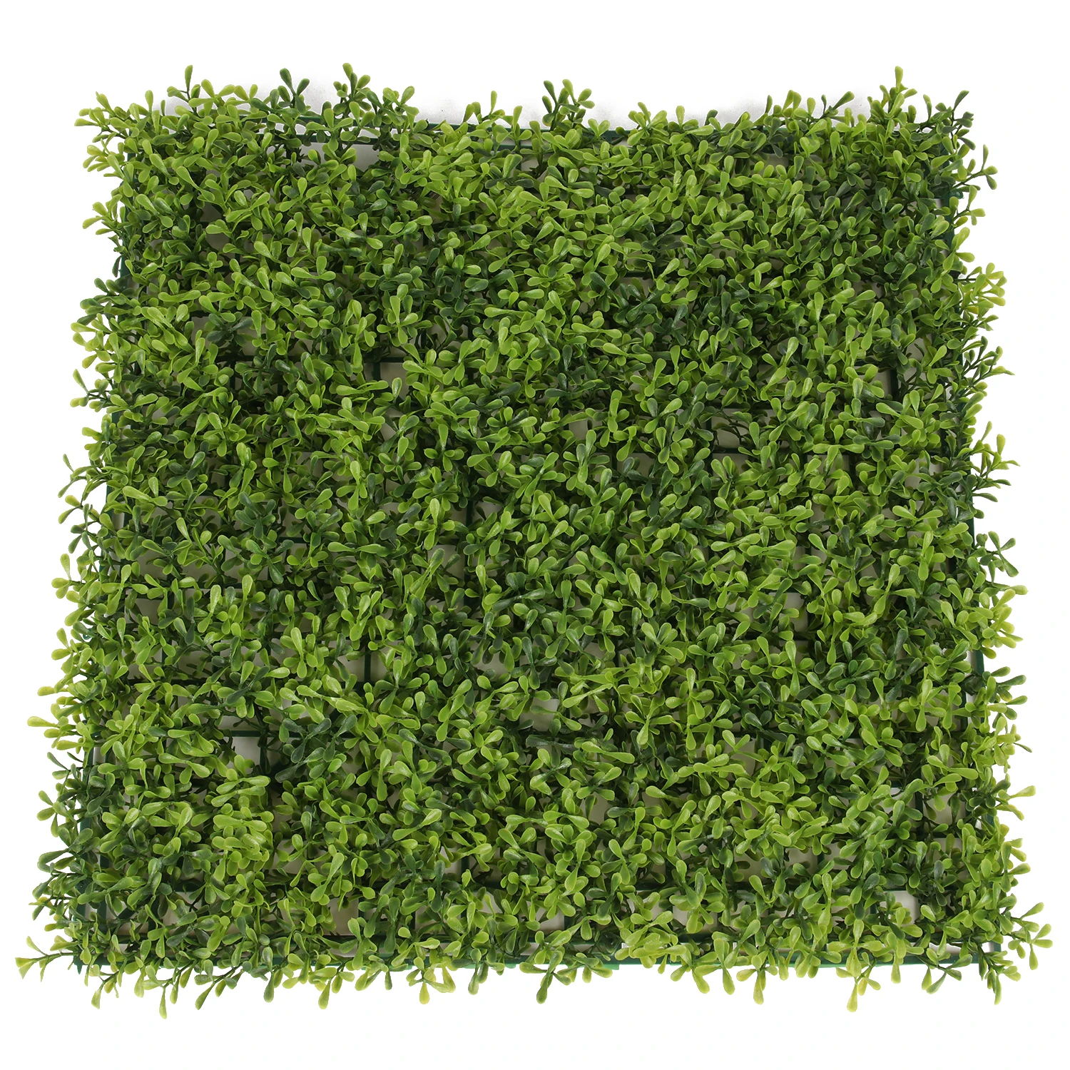 

Plastic faux artificial grass wall panels boxwood hedge greenery plant for vertical garden decoration
