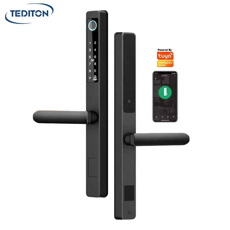 

Tediton New Smart Tuya Wifi Zinc Alloy Digital Fingerprint Glass Sliding Door Lock