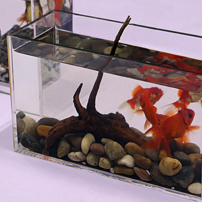 

Acrylic Fish Tank Cylinder Rectangle Customized Acrylic Aquarium, Clear