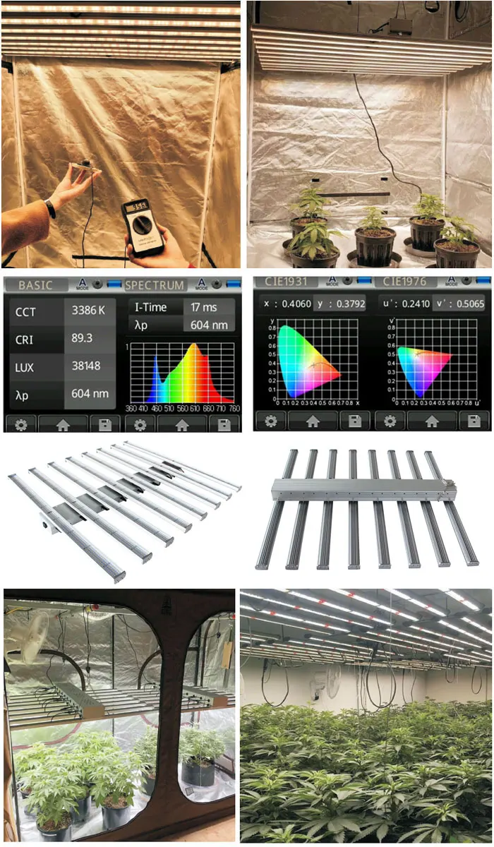 Indoor grow light wholesale china liner led grow light bar 8 bars 800W LED light grow