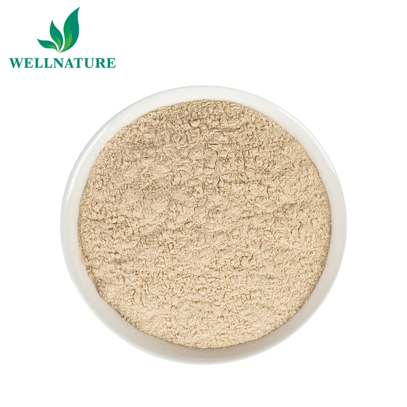

Feed Grade 65% Saponins Camellia Tea Seed Powder Herbal Extract Tea Saponin Light Yellow Powder