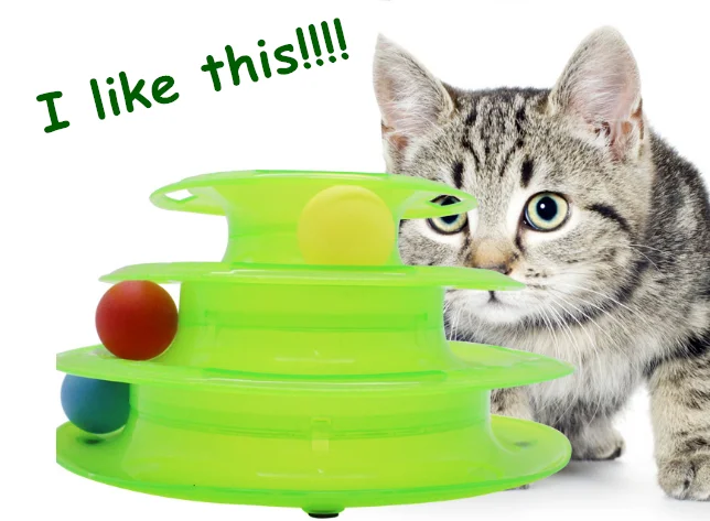 27+ Cat Ball Cat Png Funny Pictures