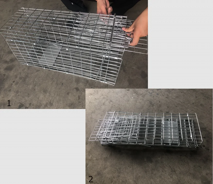 Animal Traps 6.png