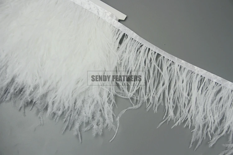 Fringe_Ostrich_7506.jpg