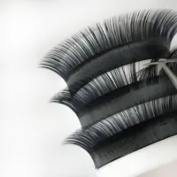 

Premium service eyelash factory for best sale korea silk las extension