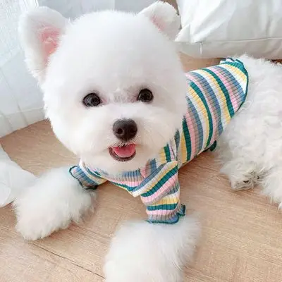 

sxx242 Pet dog bottoming shirt small dog bottoming shirt autumn and winter, Picture