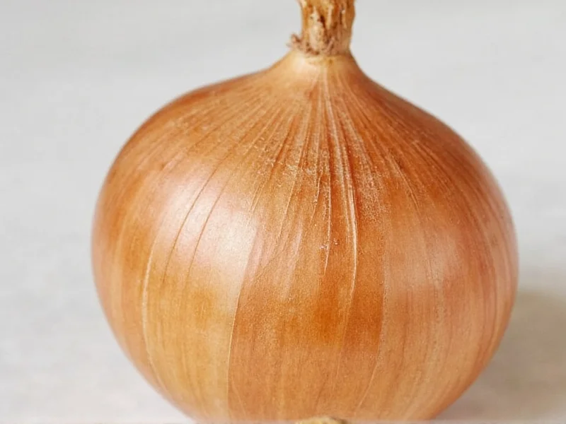 1 Tbsp Onion Powder = 1 Fresh Onion: Exact Conversion