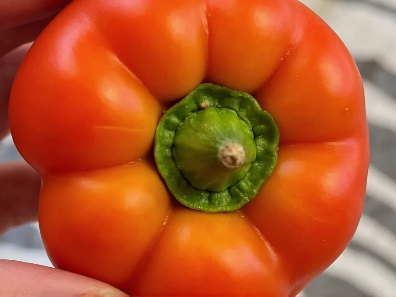 Best Fresno Chile Pepper Substitutes: Practical Guide