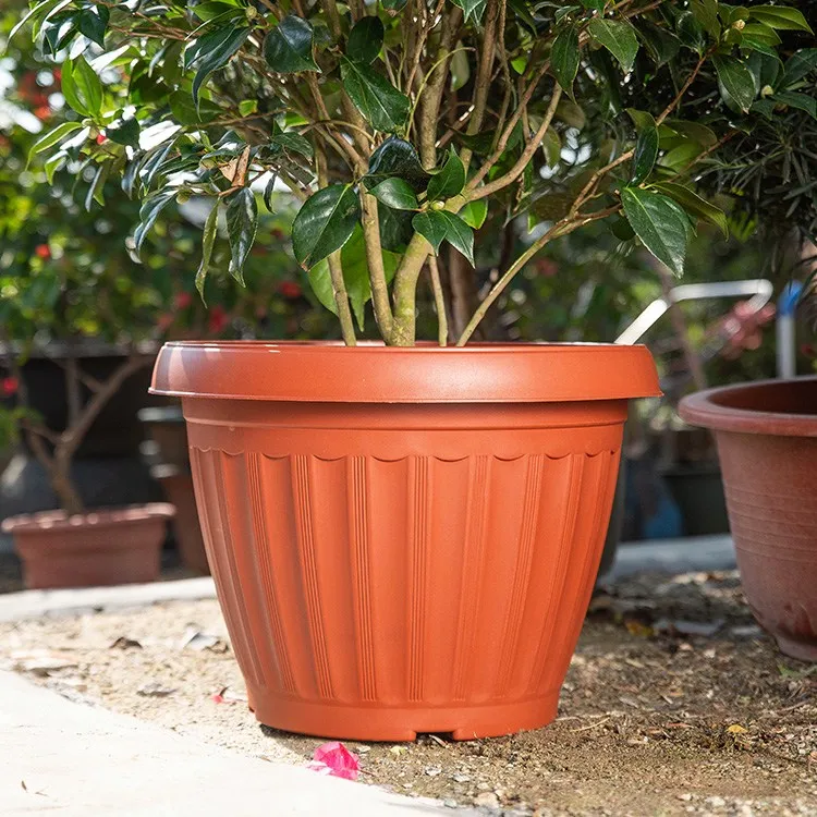 
Customized size 4 6 8 10 inches small outdoor garden plastic flower pot 