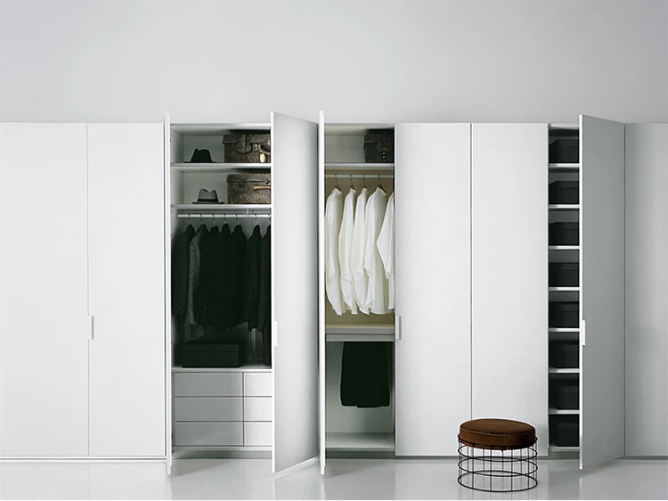 Шкаф для одежды в гостиную в современном стиле с распашными дверями