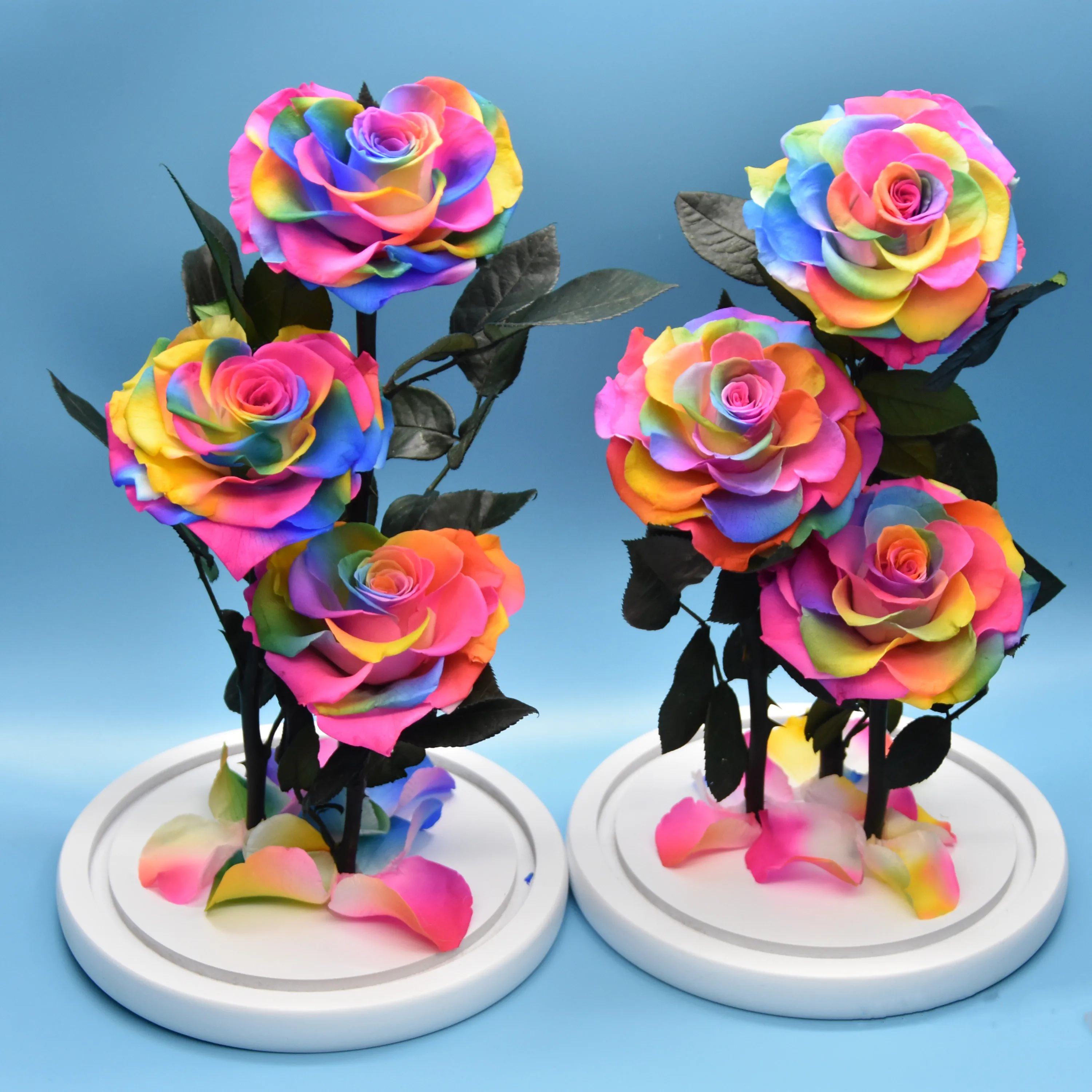 Preserved Roses Flowers In 30*15 Glass Dome Customize Rose Color And