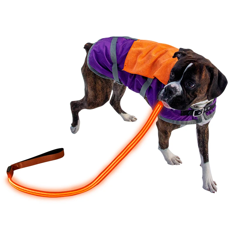 

China Factory Hot Selling USB LED Dog Leash Glowing in the Dark Lead for Dogs
