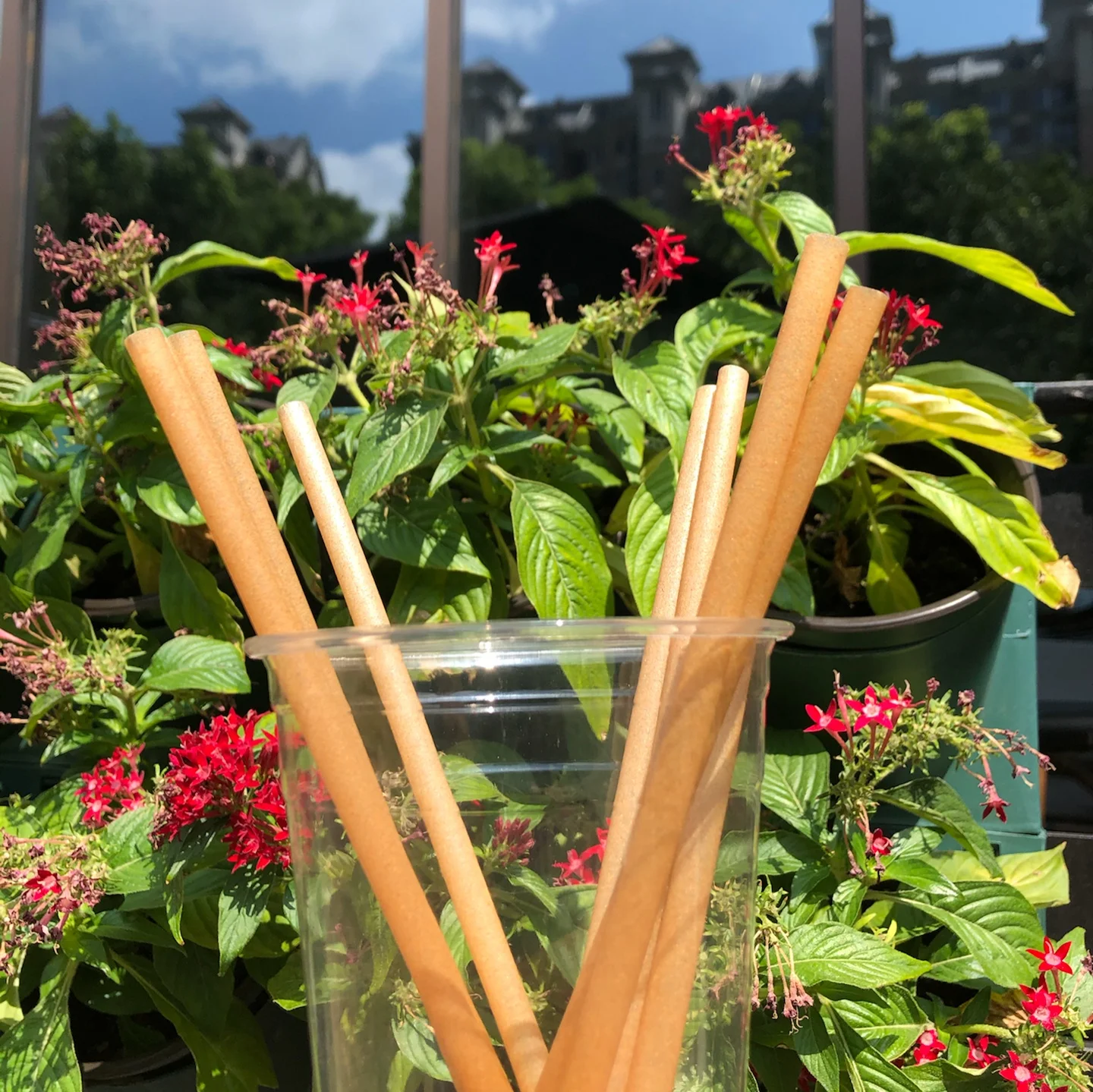 

Naturepoly Sugarcane Drinking Straw brown, Natural color