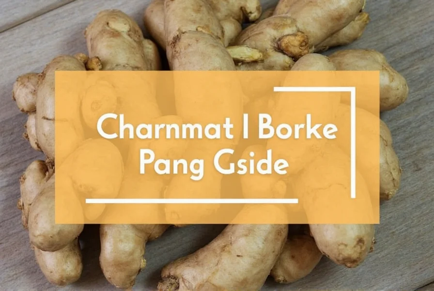 Fresh ginger rhizome showing visible growth buds for planting