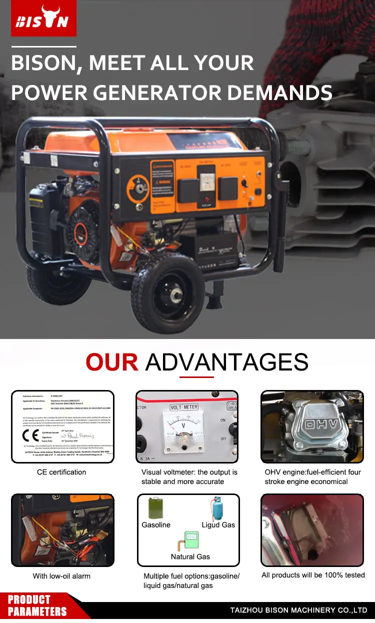 Bison China Electricity Generation Recoil Start Generator 220 Kva Self