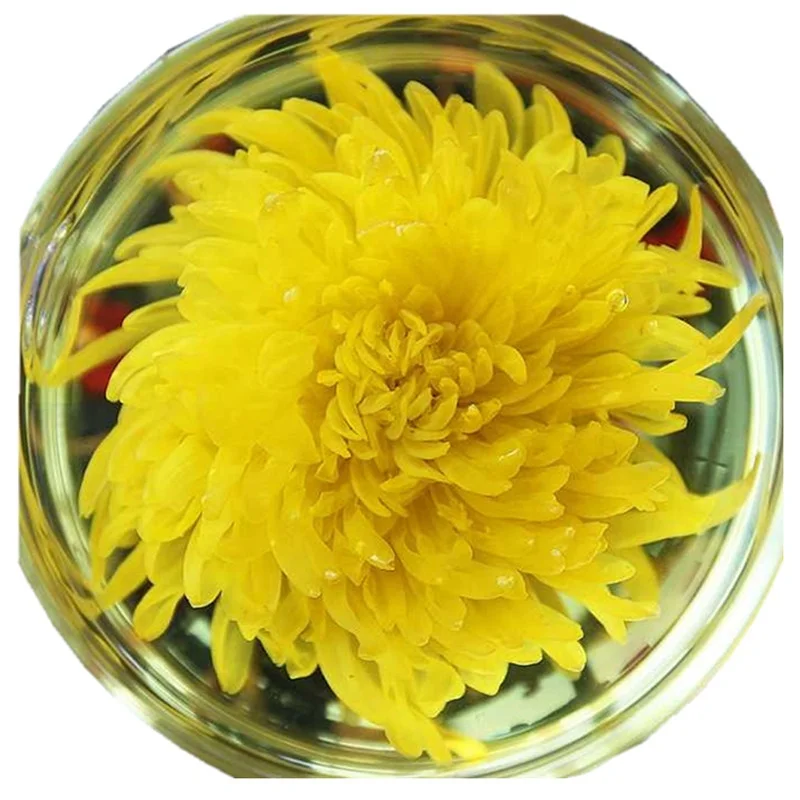 Chinese Delicious Green Flavoured Chrysanthemum Tea Wholesale - 4uTea | 4uTea.com