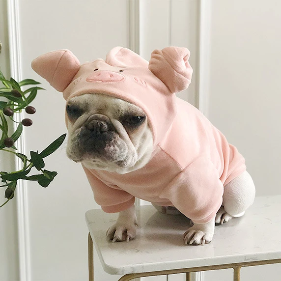 

2021 new style pet winter warm clothes sweater pink pig dog cat outing clothing hoodies pet sweater in hooded