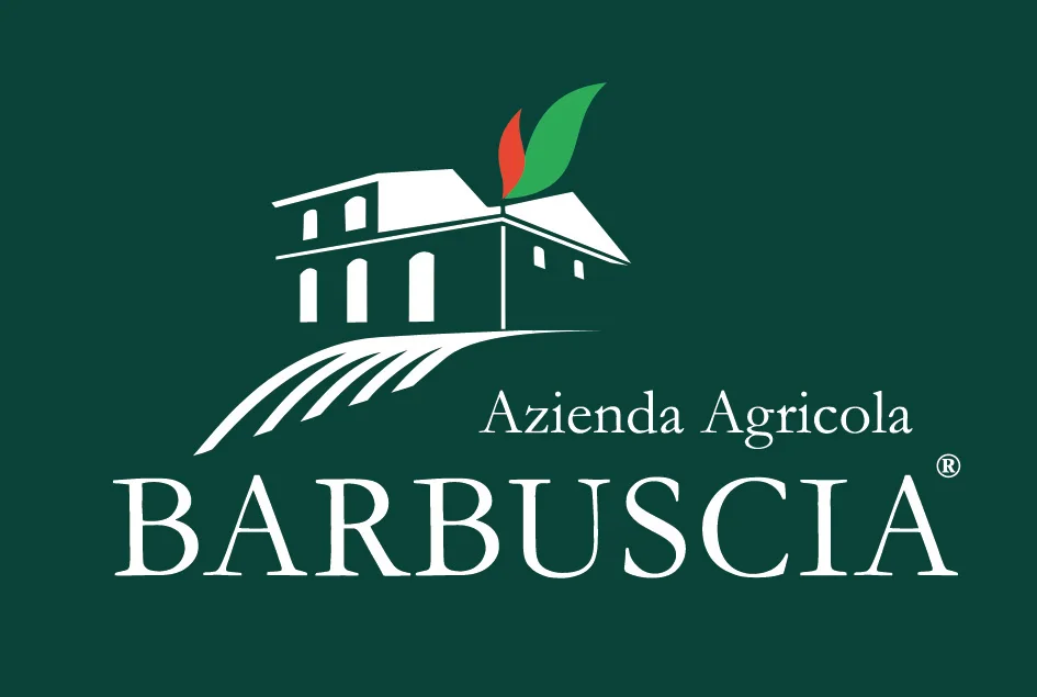 
Aubergine caponata - Made in Italy - Egg plants and green olives - Italian food - Vegan food 