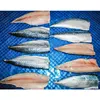 high quality frozen mackerel fillet with competitive price