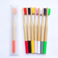 

Custom logo eco friendly disposable cowhide carton packing bamboo brand nylon 4 bamboo toothbrush