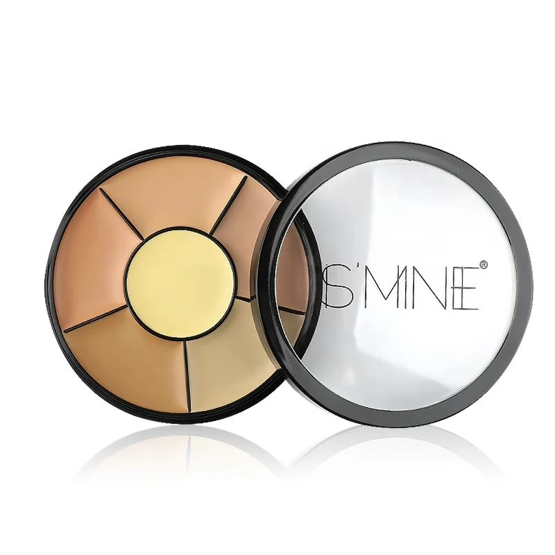 

Private Label Waterproof Full Coverage Pro Concealer to Carry, 6 colors