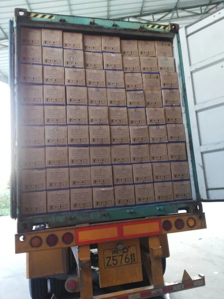 KUKASA 12H High Standard Mosquito Coils Flies Repellent Incense Plant Fiber Mosquito Coil