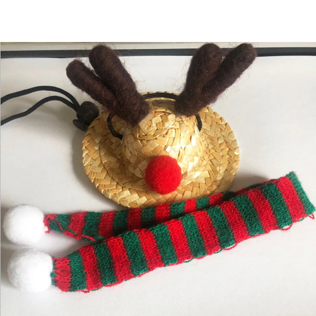 

Lizard Christmas Hat Santa Hat Adjustable Crawling Pet Hat Colored Warm Scarf For Small Animals, As picture