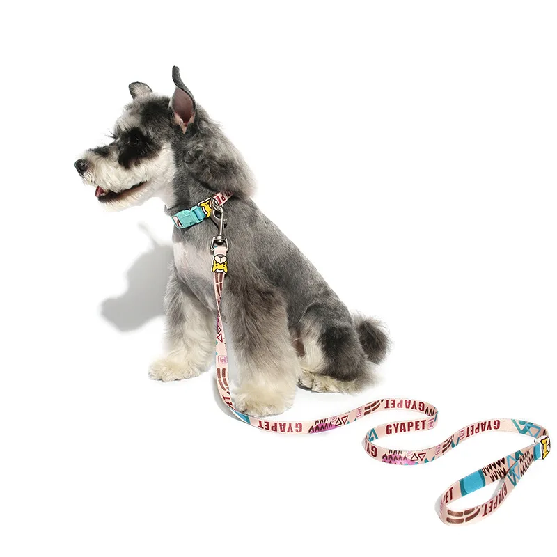 

New product Amazon hot selling cartoon color pet leash dog collar set