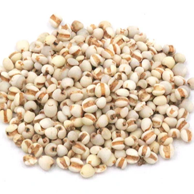 
Herbal Medicine Herbs Wholesale Dried Coix Semen Coicis Seed 