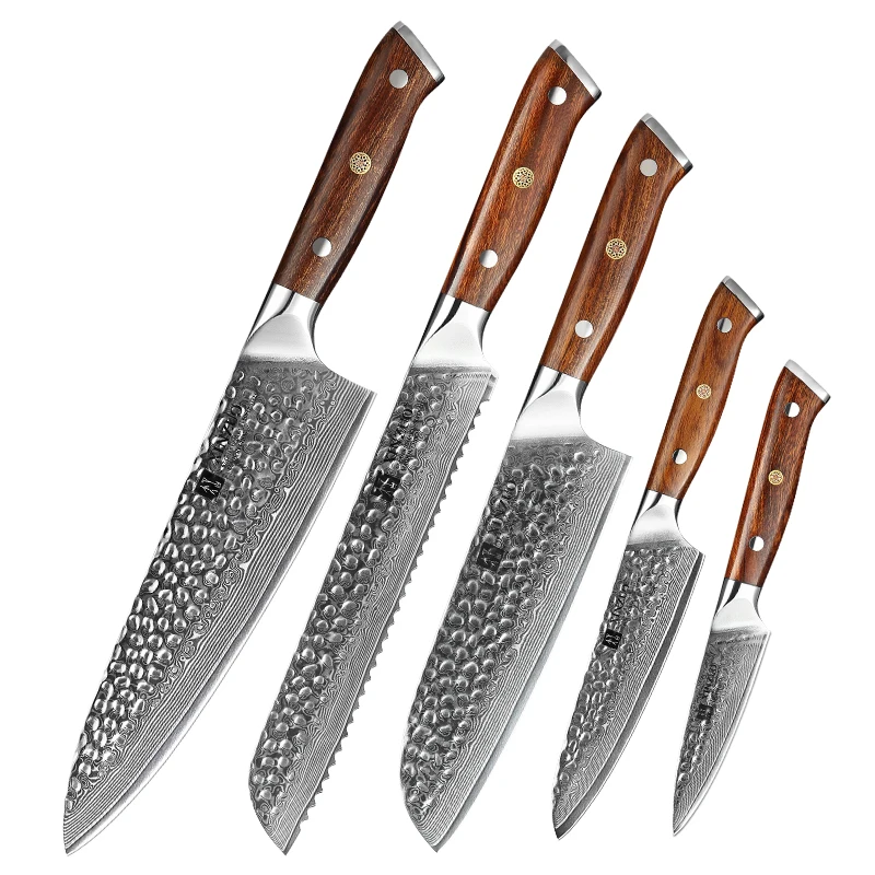 

5 PCS Professional Super Sharp Japanese Kitchen Damascus Steel Chef Knife Set Desert iron wood handle