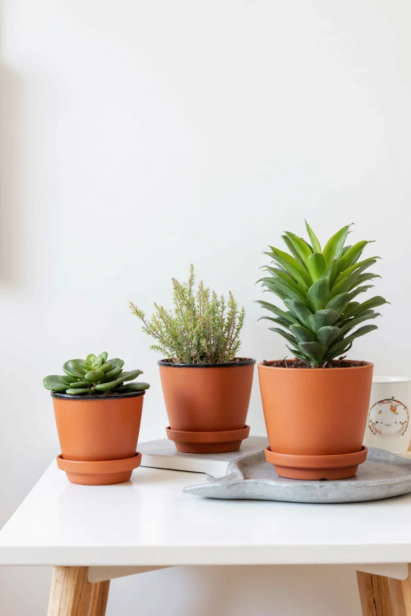 GlowGarden LED Plant Pot