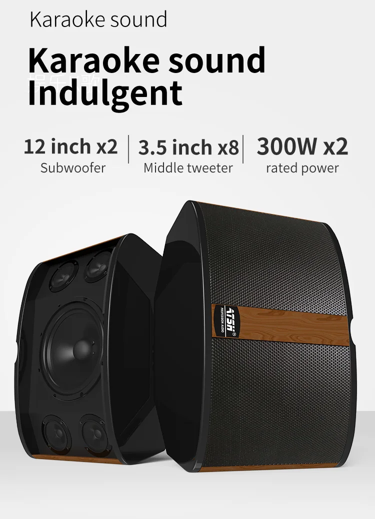 China Factory Family Ktv Audio Set Home Living Room Karaoke Home