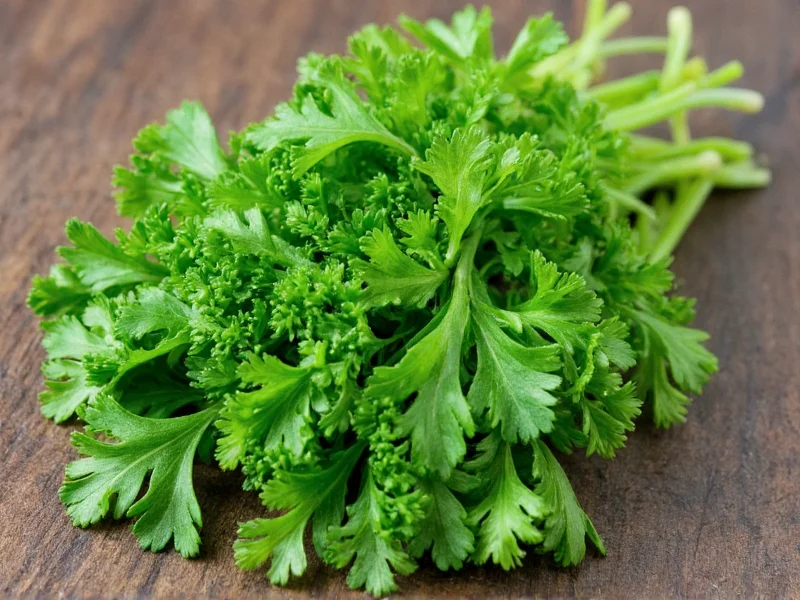 Coriander Is Not Parsley: Clearing the Herb Confusion