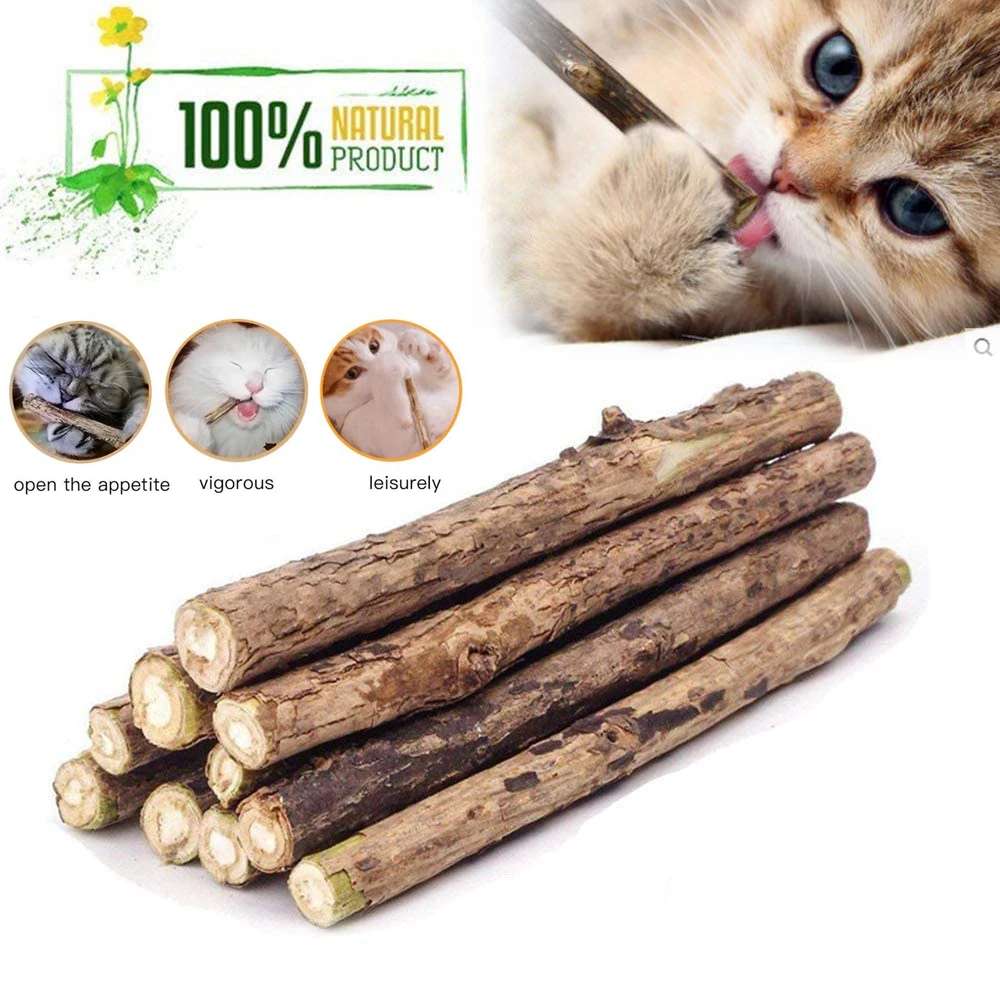 

Natural Catnip Pet Cat Molar Toy Matatabi Toothpaste for Cat Tooth Cleaning Toy Silvervine Cat Snack Sticks
