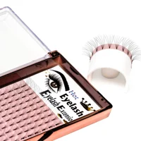 

5d 0.07 russian volume 3d 4d 6d lashes extensions false eyelashes in heat bonded cluster lashes