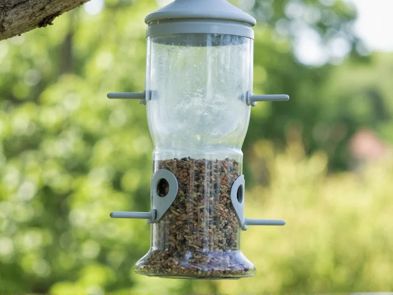 Plastic bottle bird feeder with perches and seed holes