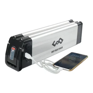 Top selling customized 24v 10ah portable e-bike Silver fish type lithium battery with charger