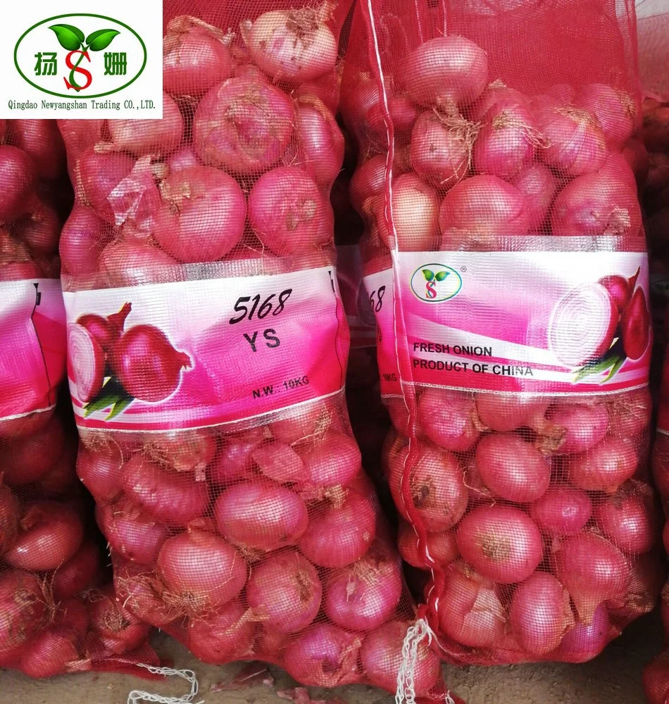
Top quality red fresh onion for export 