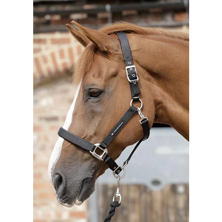 

Plain Padded Horse Head Collar, Customized