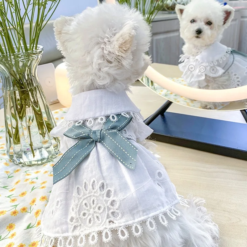 

2021 summer dog cloth lovely fashion cloth for pet