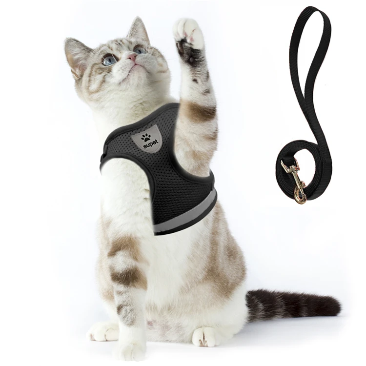

Adjustable Cat Vest Harness with Reflective Strap for Puppy Walking,Comfort Soft Mesh Pet Harness and Leash Set, Picture