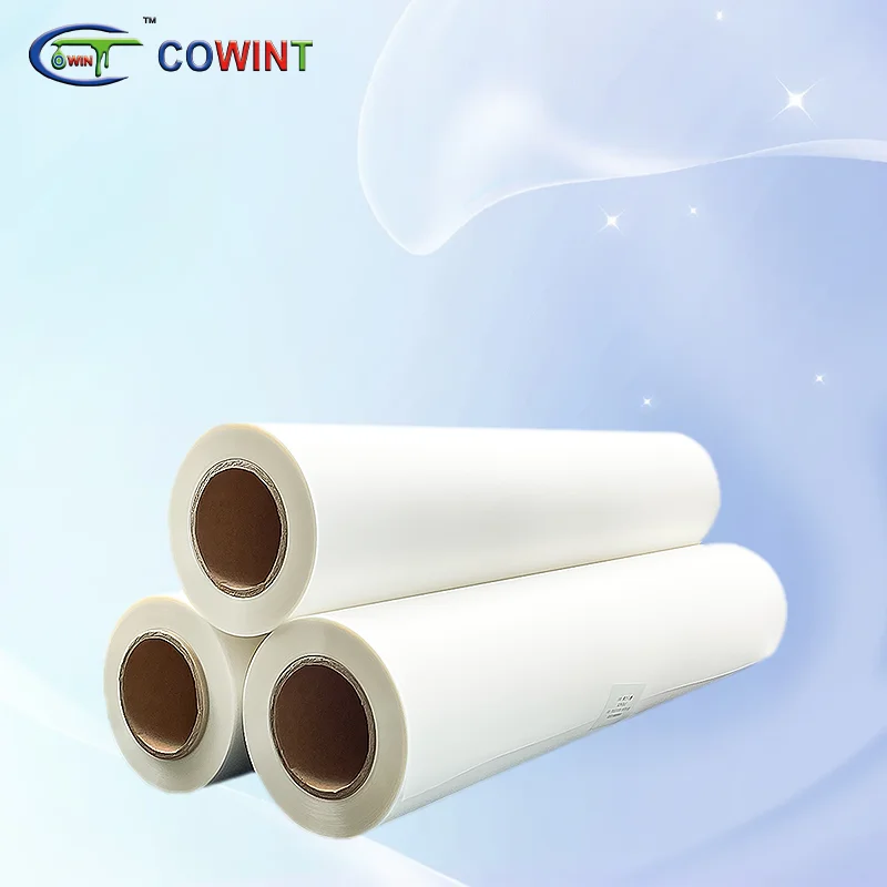 

Cowint custom a4 a3 a3+ dtf paper transfer pet film sheets rolls for dtf printer 30cm 60cm transfers printing machine I3200