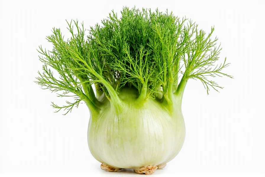 Fennel with Fronds: Complete Guide to Using the Whole Plant