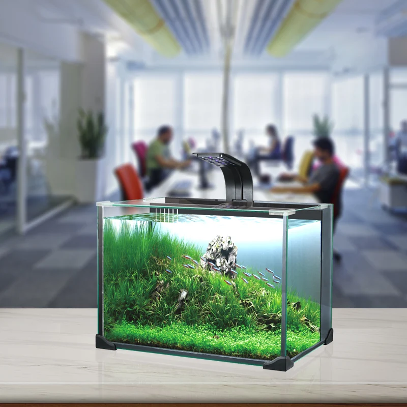 Fish Aquarium Tank,
